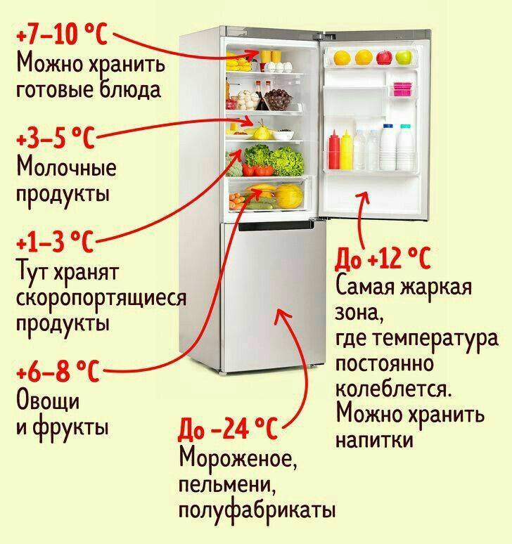 Как выбрать холодильник для дома: самое полное руководство