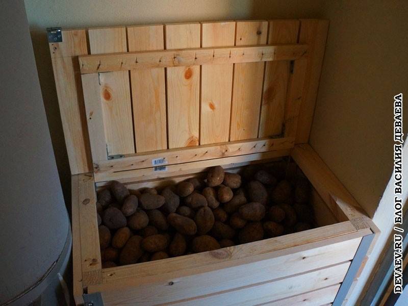 Как хранить картошку в квартире правильно: где и в чем зимой можно разместить в домашних условиях клубни, а также условия содержания овоща