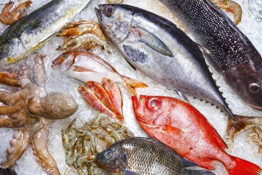 Восемь видов рыбы и морепродуктов, которые не нужно есть
