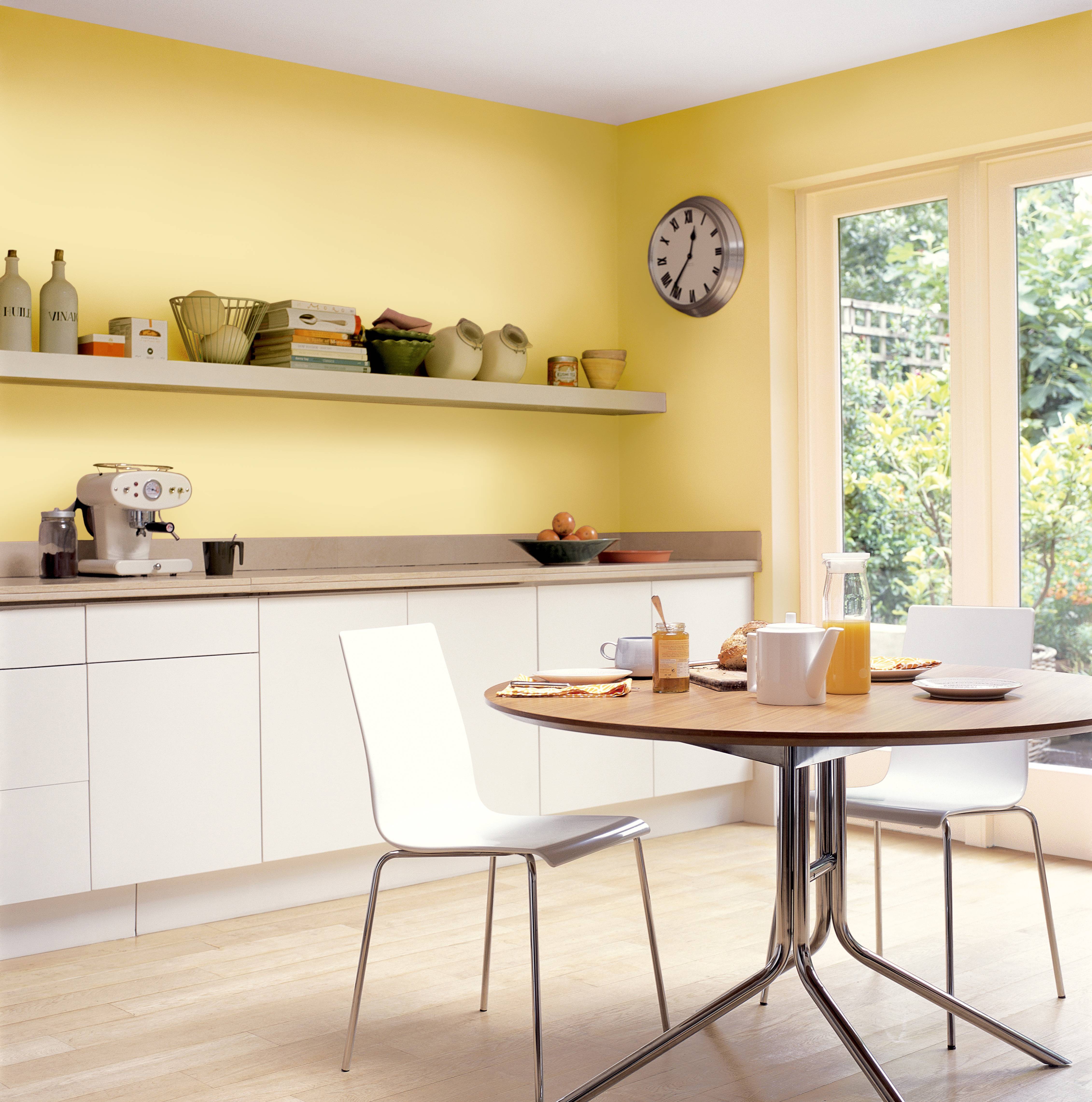 Моющаяся краска для стен кухни: разновидности, советы по выбору, фото примеры