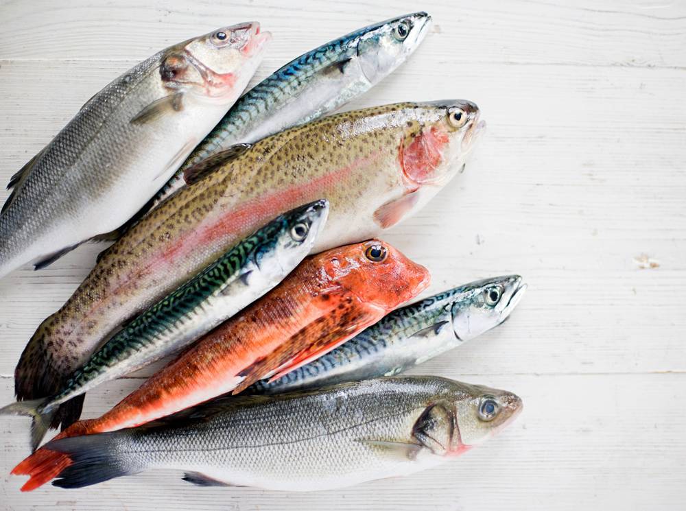 Кушать в меру или не есть вовсе: 9 видов рыбы, которую употреблять следует очень осторожно