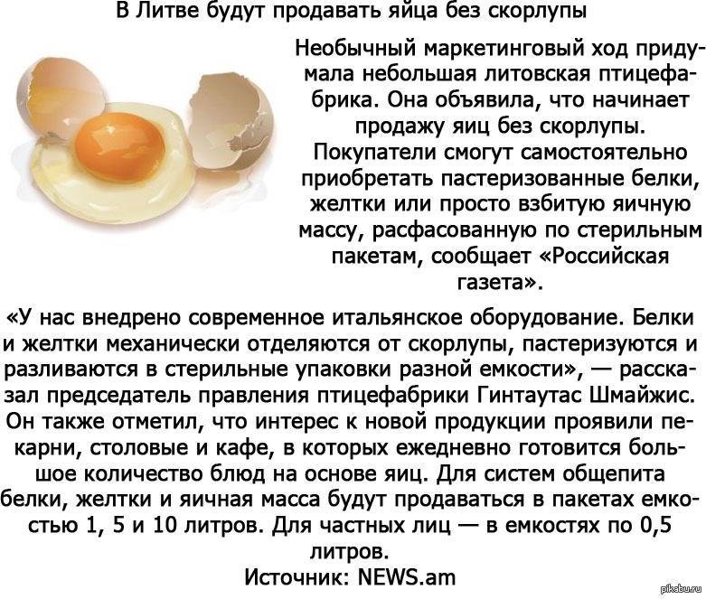 Как правильно хранить яйца, можно ли их мыть перед хранением в холодильнике