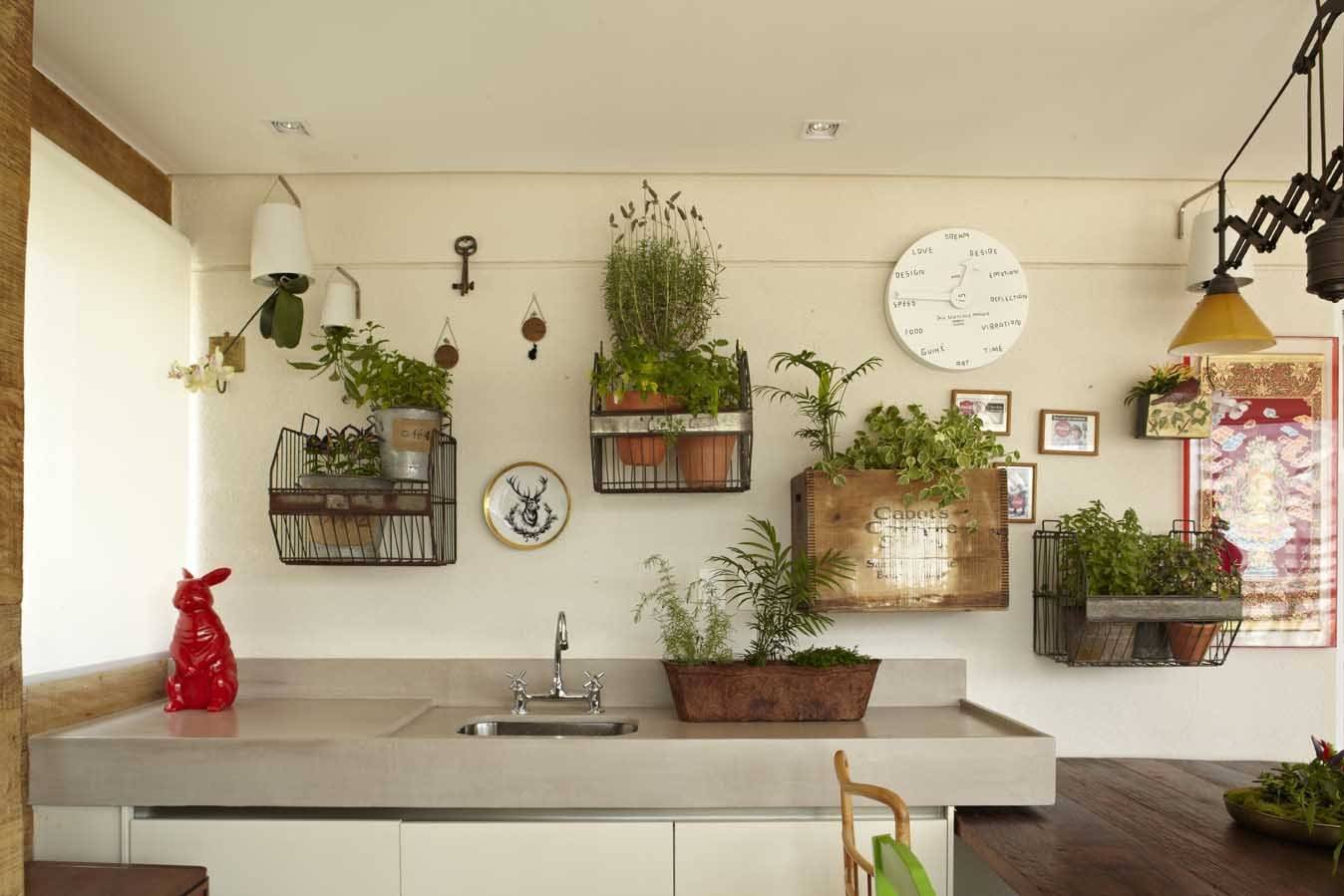 Цветы для кухни неприхотливые фото и название, комнатные растения в интерьере кухни