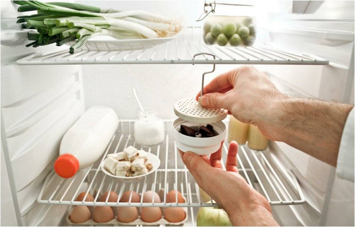 Как избавиться от плесени в холодильнике, отмыть грибок с резинки и убрать запах