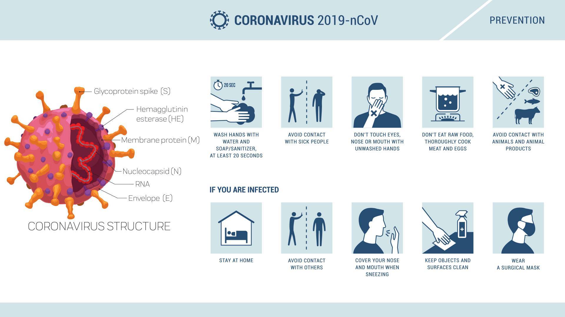 Топ-5 советов по профилактике коронавируса