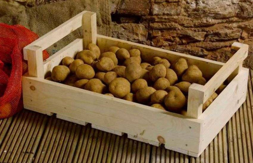 Можно ли хранить картошку в сетках