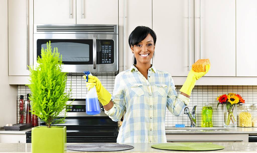 Как помыть кухню от жира и грязи – 11 способов для всех видов поверхностей