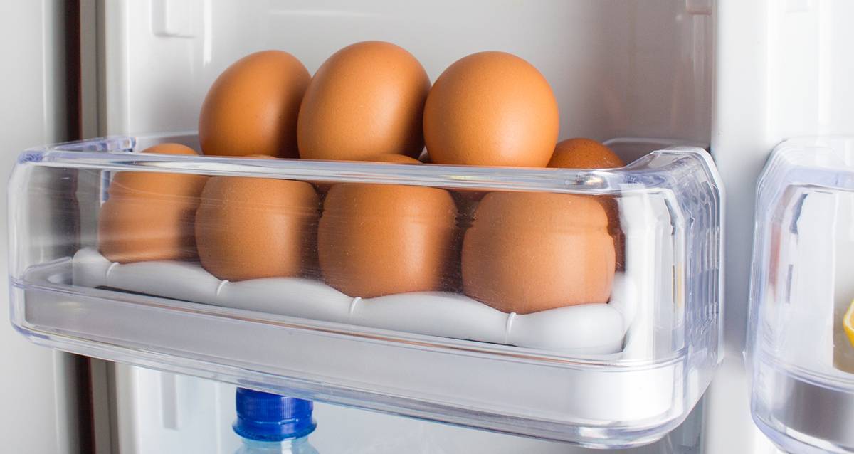 Срок годности различных видов яиц в бытовом холодильнике в зависимости от условий хранения