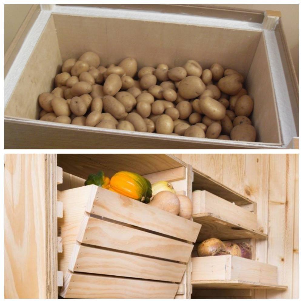 Как в квартире хранить картошку зимой и летом и где лучше всего