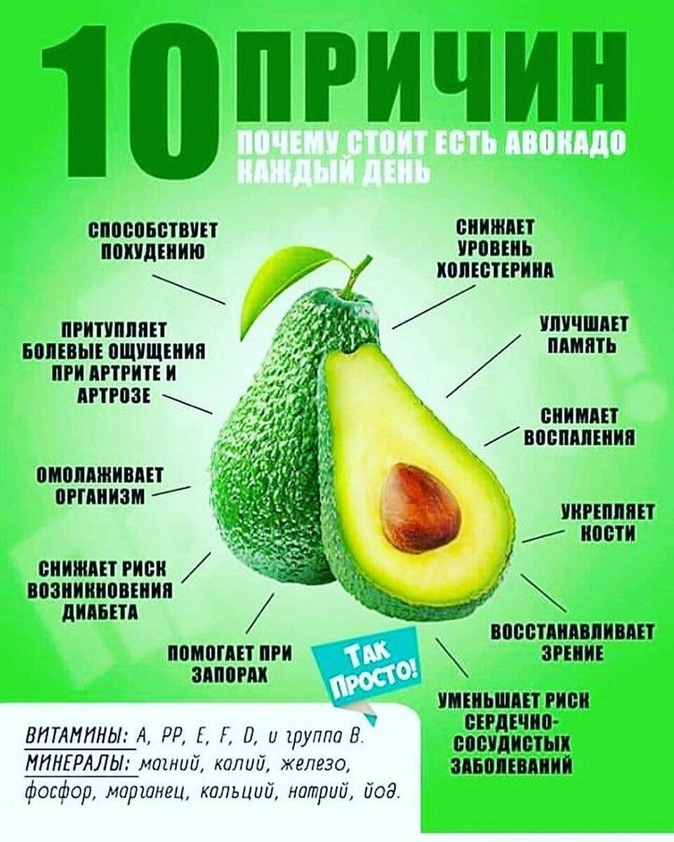 Что будет, если есть авокадо каждый день: положительное влияние фрукта на организм
