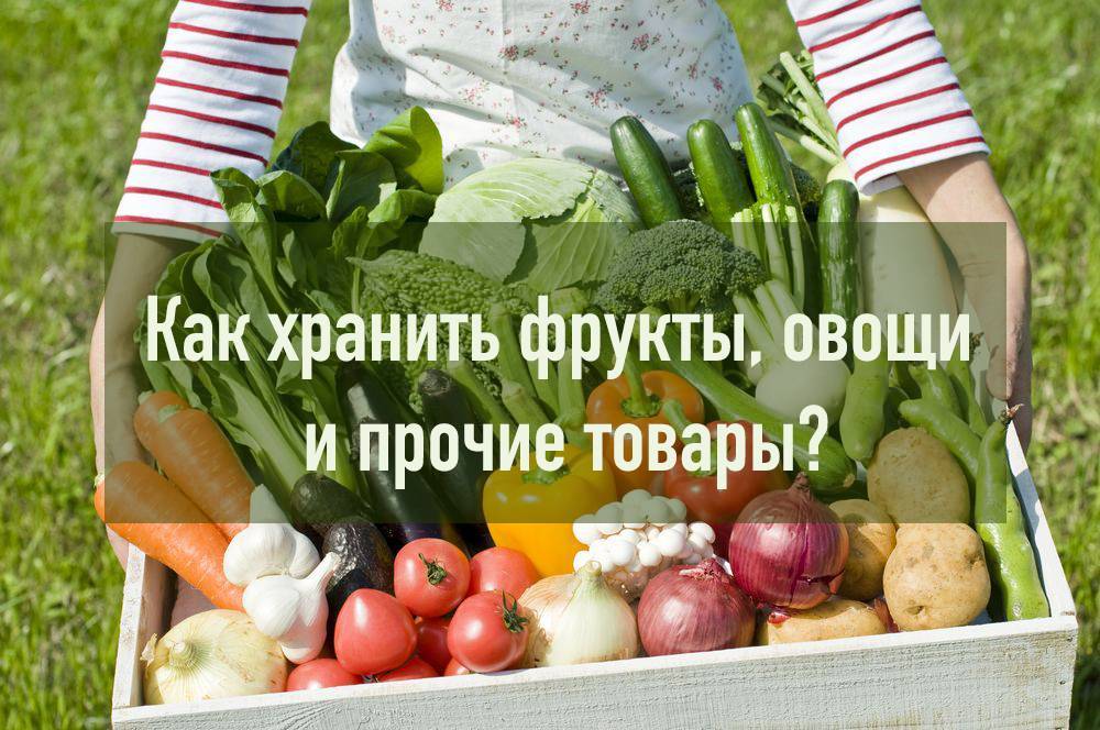 Хранение овощей. технология, способы и условия хранения овощей | кулинария на "добро есть!"
