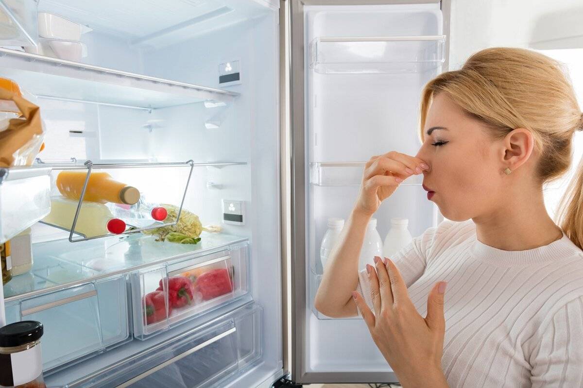 Как быстро избавиться от неприятного запаха в холодильнике: народные и химические способы