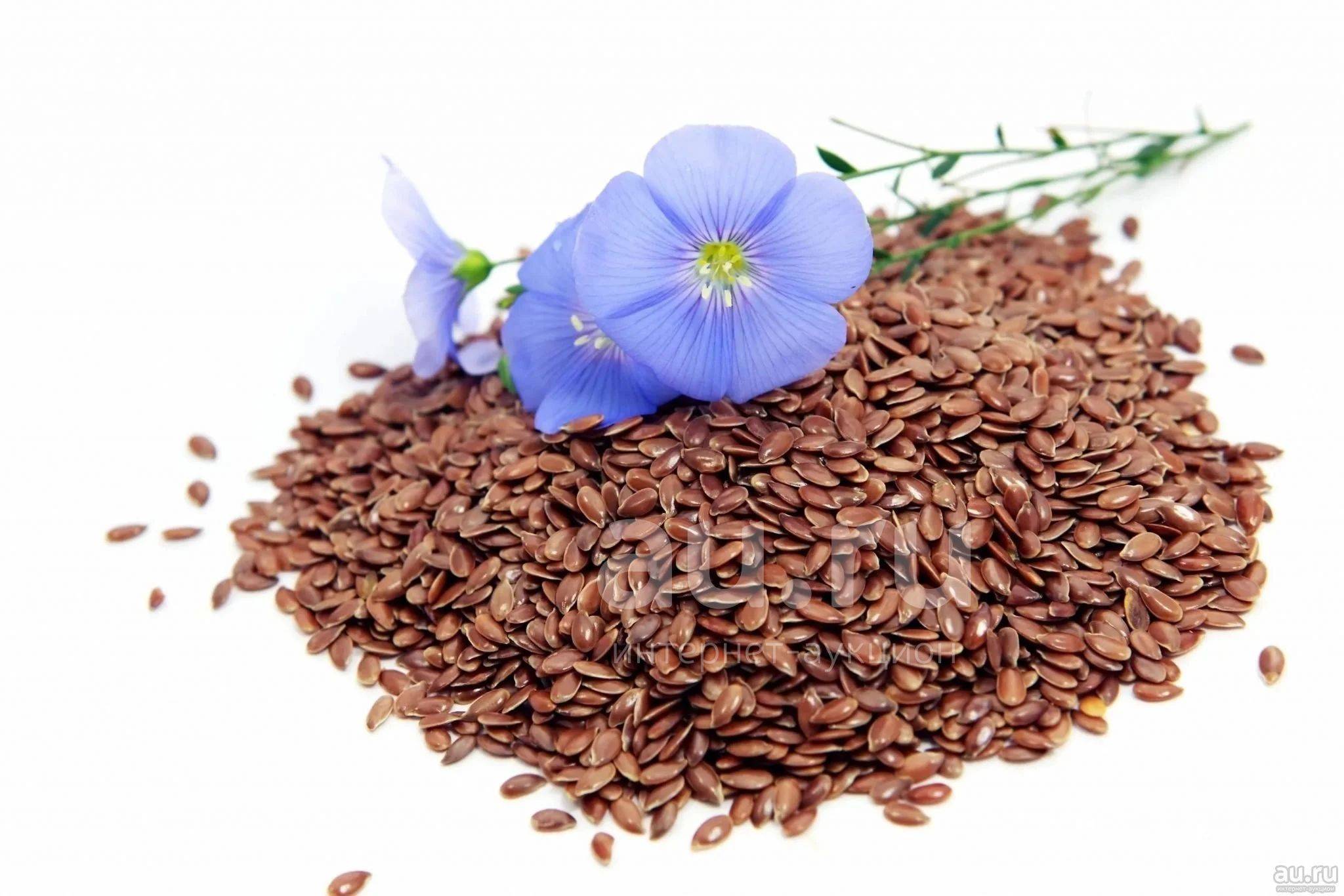 Семена льна: польза и вред, свойства, как принимать для похудения, отзывы