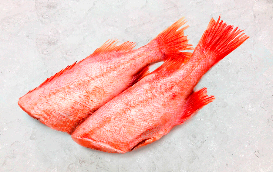 Самая полезная рыба для человека - краткий обзор 20 видов рыбы
