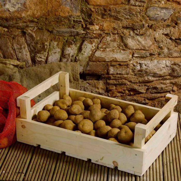 Как хранить картошку в квартире летом и зимой?