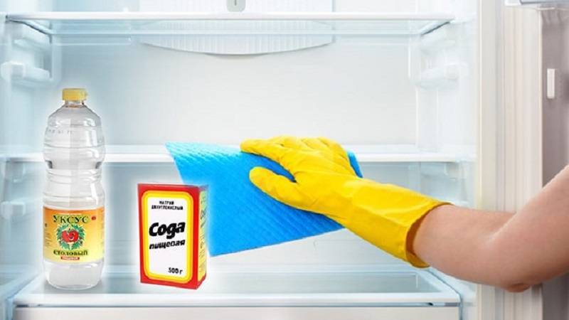 Чем помыть холодильник внутри, чтобы уничтожить запах