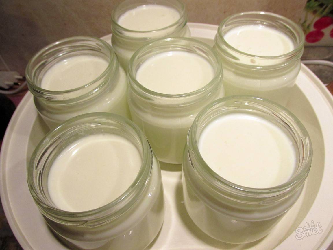Домашний йогурт: польза и вред, 4 рецепта приготовления в домашних условиях в йогуртнице и без