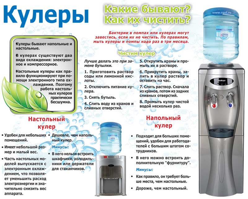Кулер для воды настольный с охлаждением и нагревом: как выбрать, отзывы, фирмы