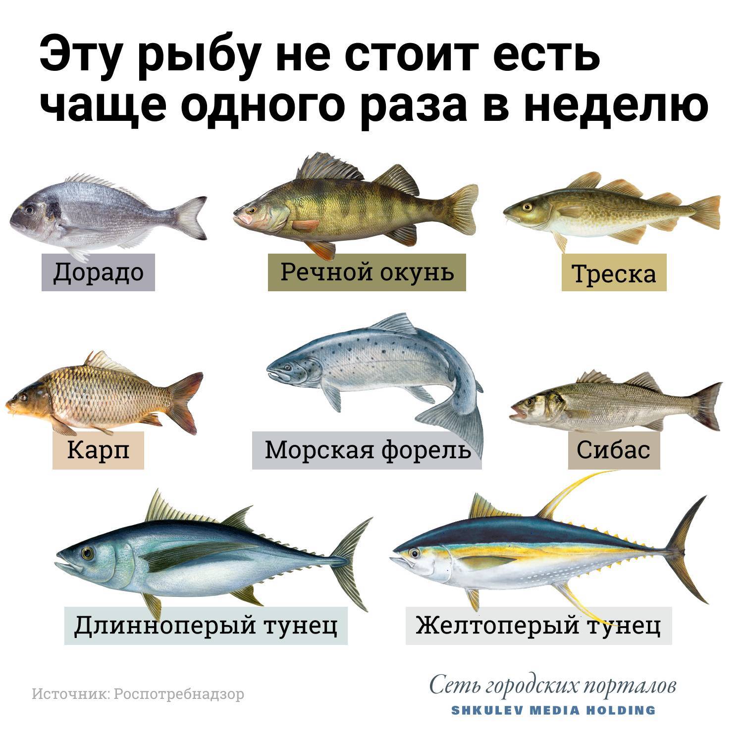 7 видов рыбы, которые никогда не стоит покупать – ура! повара