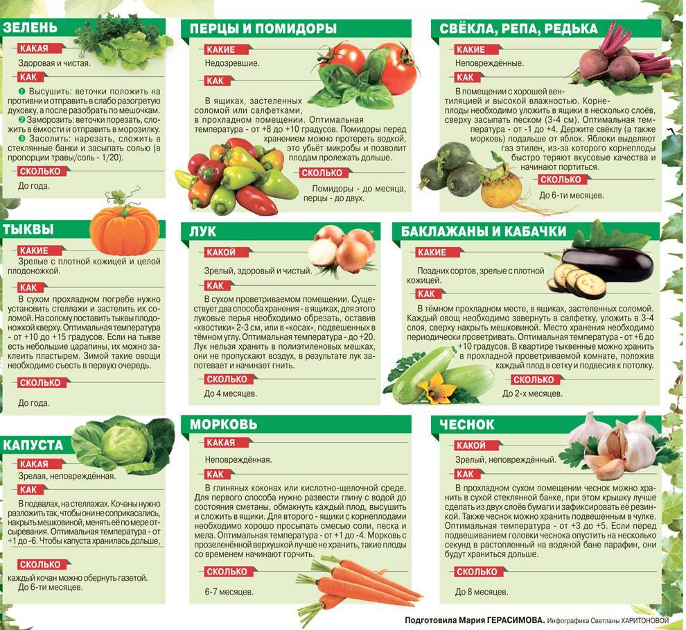 Как правильно хранить овощи в заведениях общепита