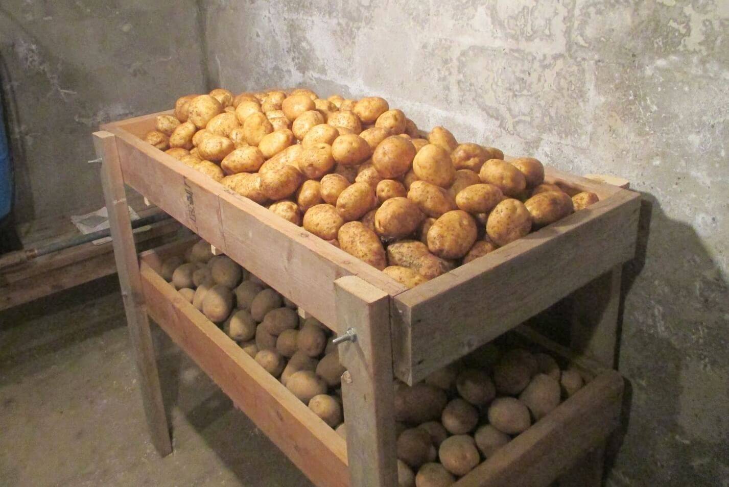 Как хранить картофель долго в домашних условиях