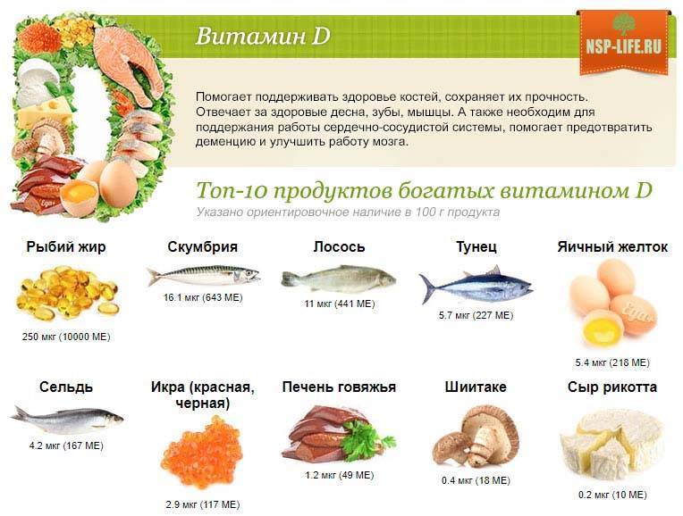 Продукты питания богатые витамином d (топ-100 натуральных источников)