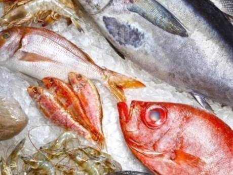 Почему не стоит покупать сома, пангасиуса и макрель и как безопаснее всего готовить рыбу — статья на тчк