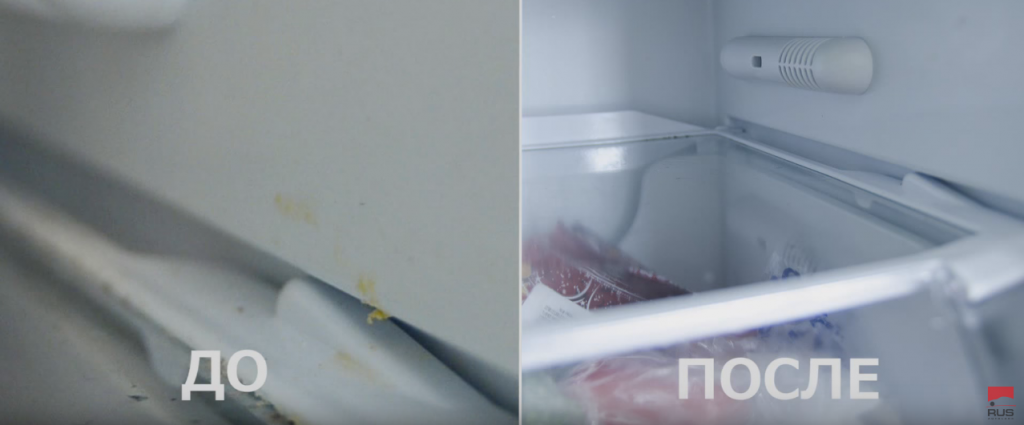 Как убрать плесень в холодильнике внутри и на резинке, как быстро вывести запах, чем отмыть поверхности в домашних условиях?