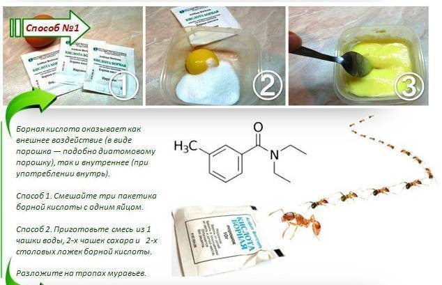 Шарики из борной кислоты от тараканов - рецепт эффективного средства, пропорции, вариации (с желтком и другими ингредиентами)