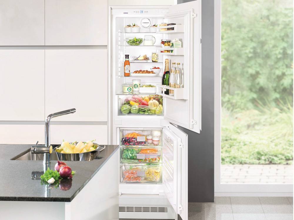 Топ-10 хороших холодильников до 30000 рублей: рейтинг 2020 года и какими достоинствами обладают устройства